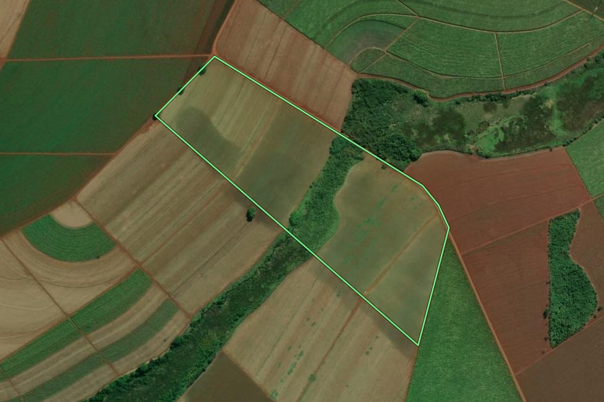 Imagem de satélite do imóvel rural em Pontal (SP), com o contorno declarado no CAR desenhado por cima.