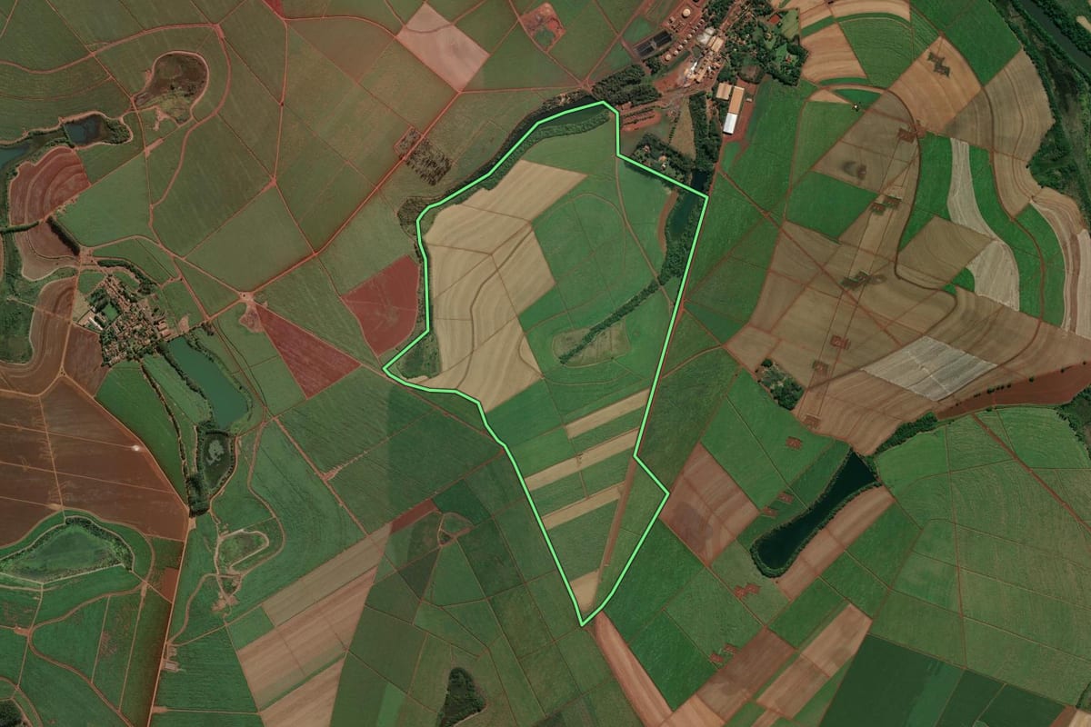 Imagem de satélite do imóvel rural em Pontal (SP), com o contorno declarado no CAR desenhado por cima.