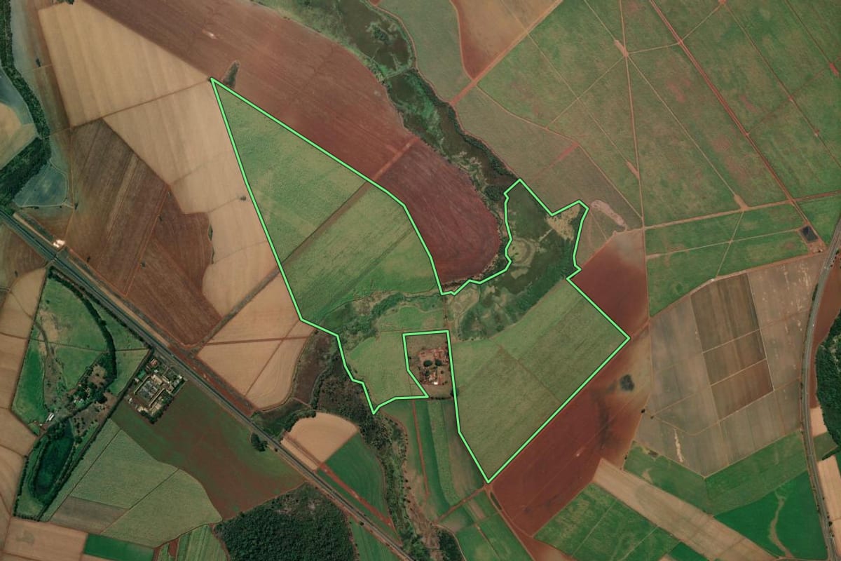Imagem de satélite do imóvel rural em Pontal (SP), com o contorno declarado no CAR desenhado por cima.