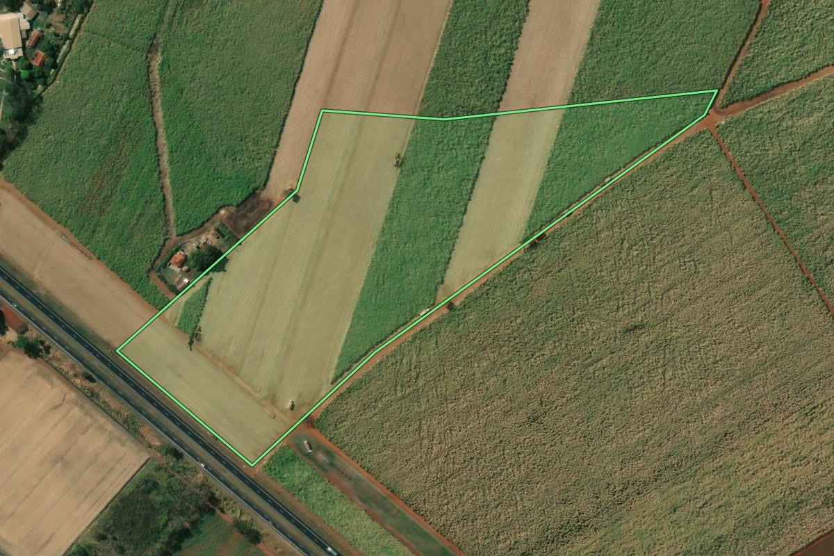 Imagem de satélite do imóvel rural em Pontal (SP), com o contorno declarado no CAR desenhado por cima.