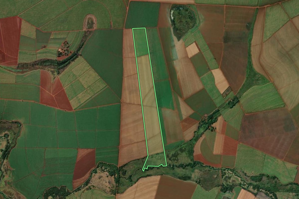 Imagem de satélite do imóvel rural em Pontal (SP), com o contorno declarado no CAR desenhado por cima.
