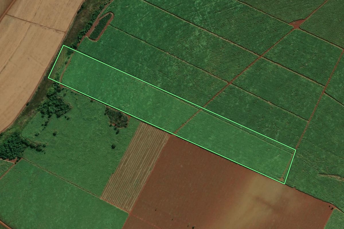 Imagem de satélite do imóvel rural em Pontal (SP), com o contorno declarado no CAR desenhado por cima.