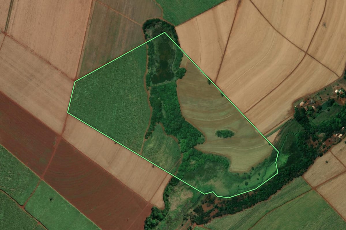 Imagem de satélite do imóvel rural em Pontal (SP), com o contorno declarado no CAR desenhado por cima.