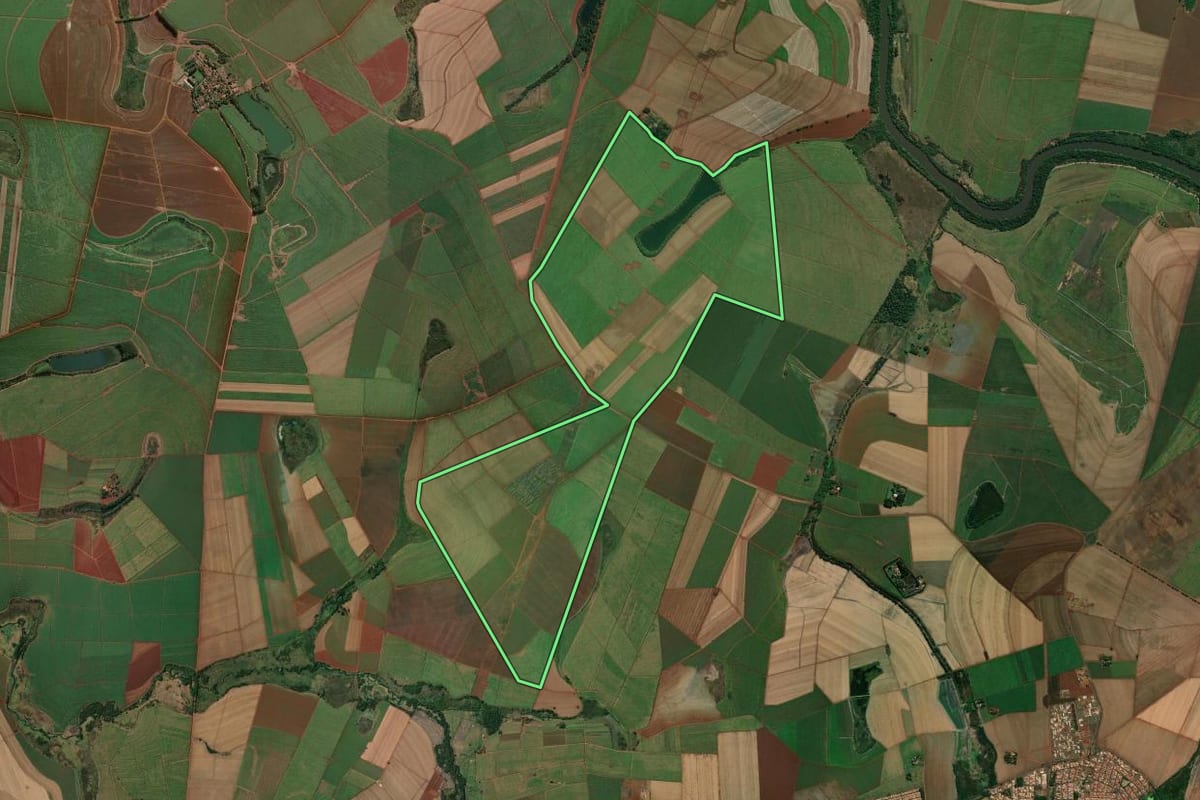 Imagem de satélite do imóvel rural em Pontal (SP), com o contorno declarado no CAR desenhado por cima.