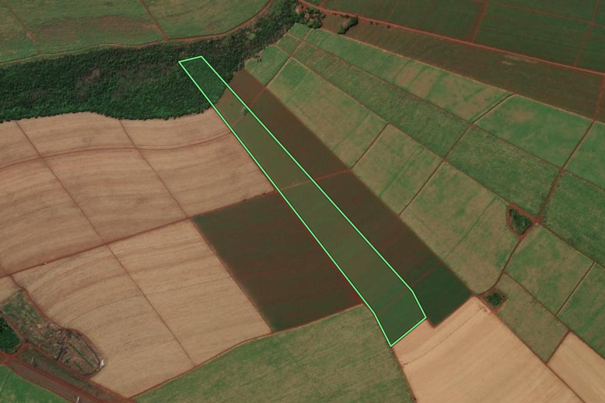 Imagem de satélite do imóvel rural em Pontal (SP), com o contorno declarado no CAR desenhado por cima.