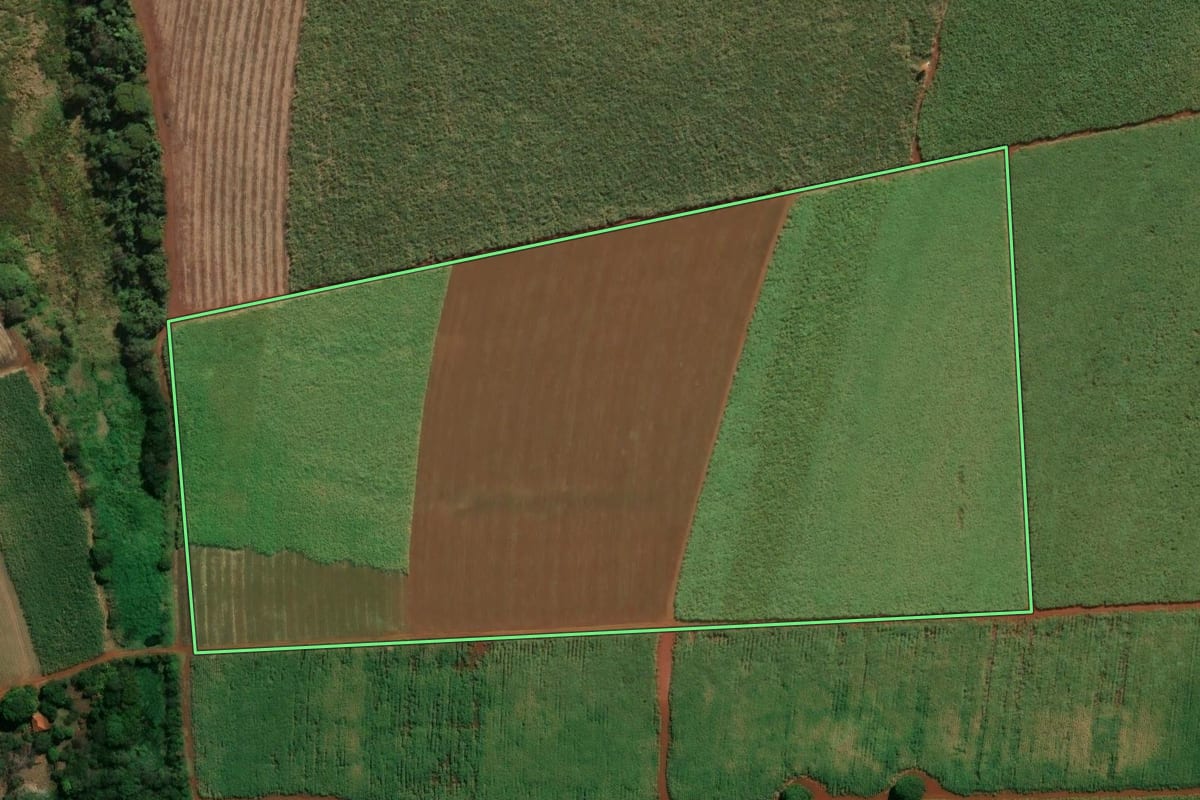 Imagem de satélite do imóvel rural em Pontal (SP), com o contorno declarado no CAR desenhado por cima.