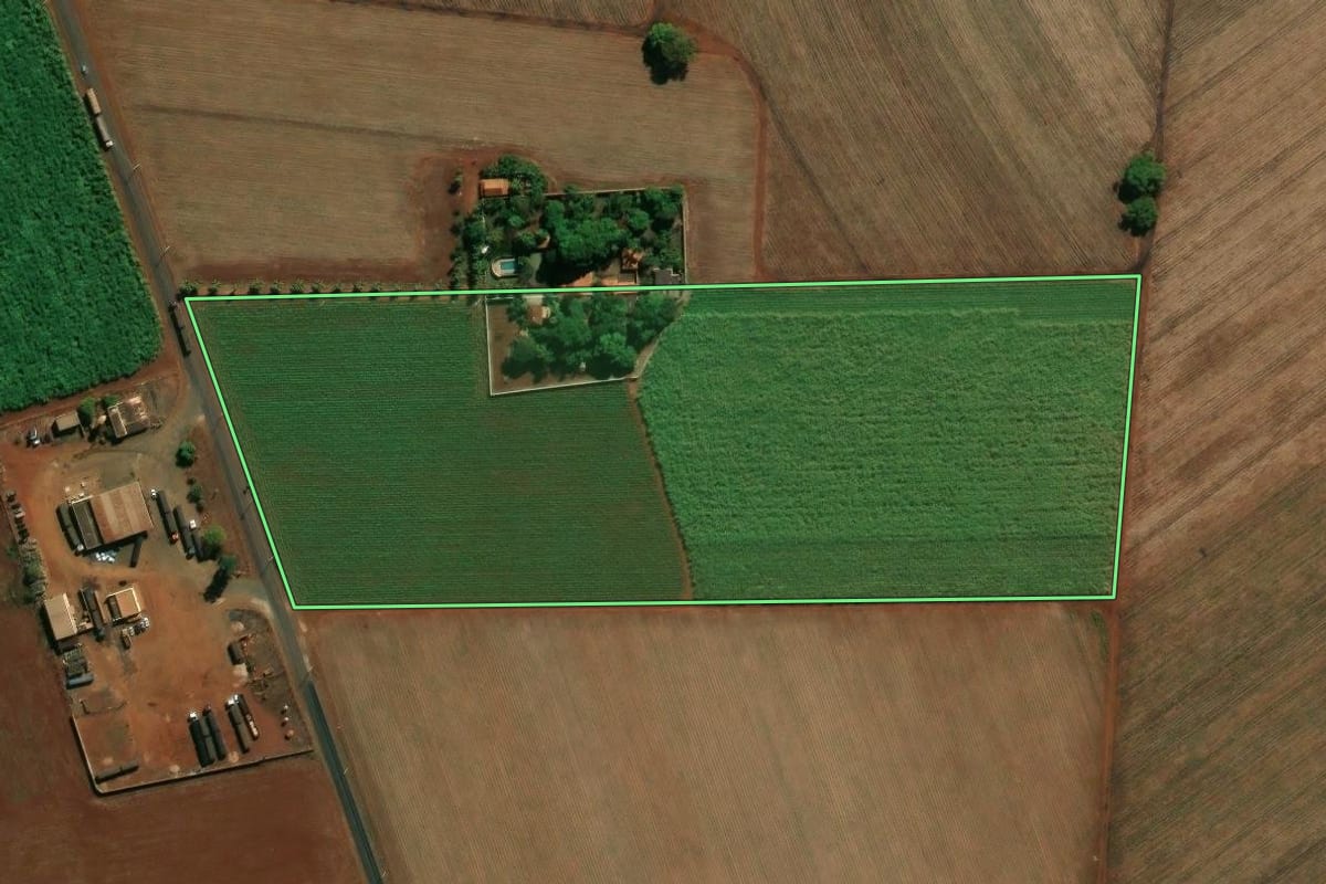 Imagem de satélite do imóvel rural em Pontal (SP), com o contorno declarado no CAR desenhado por cima.