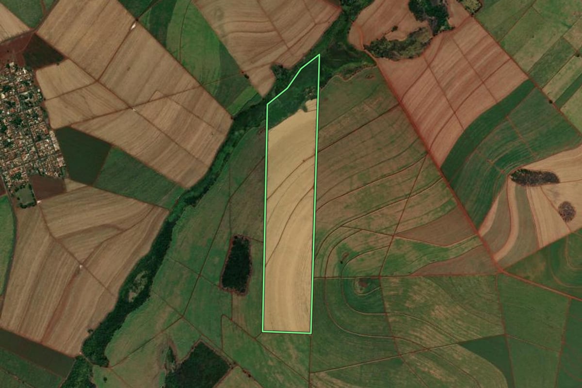 Imagem de satélite do imóvel rural em Pontal (SP), com o contorno declarado no CAR desenhado por cima.