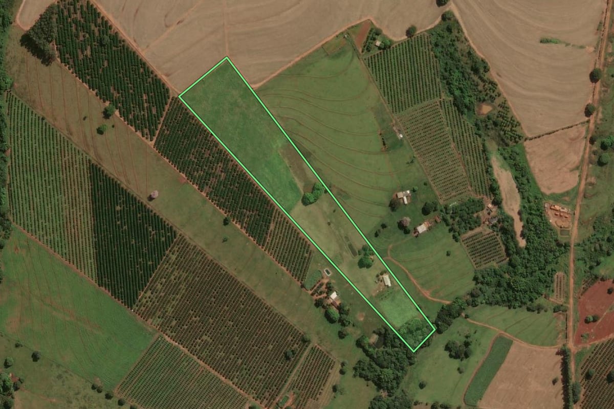 Imagem de satélite do imóvel rural em Pontalinda (SP), com o contorno declarado no CAR desenhado por cima.
