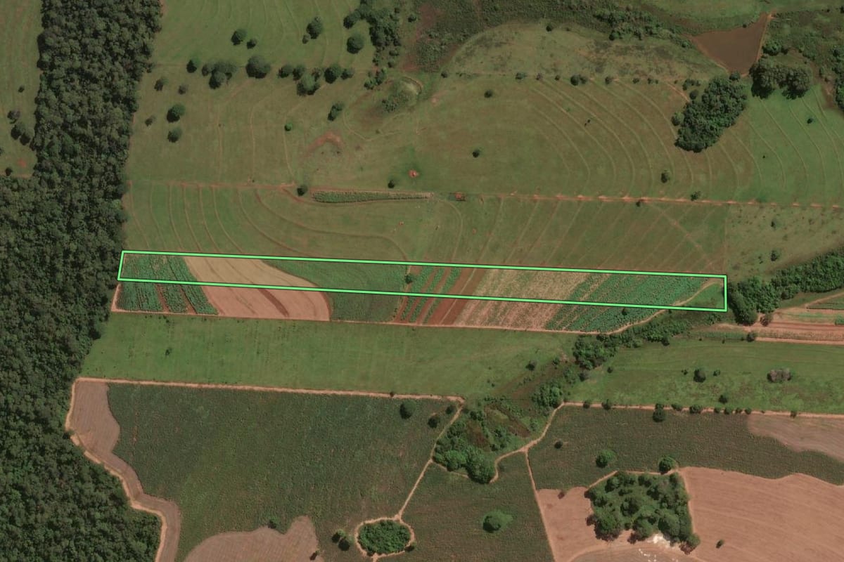 Imagem de satélite do imóvel rural em Pontalinda (SP), com o contorno declarado no CAR desenhado por cima.