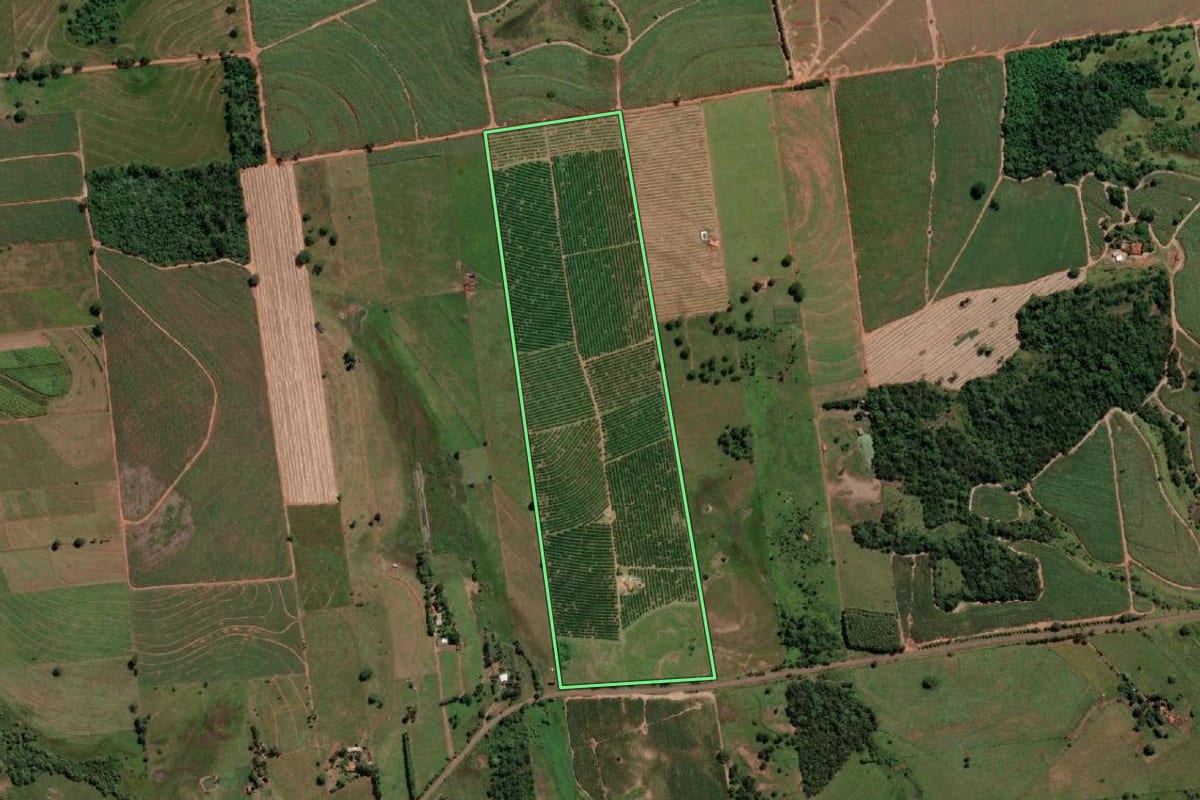 Imagem de satélite do imóvel rural em Pontalinda (SP), com o contorno declarado no CAR desenhado por cima.