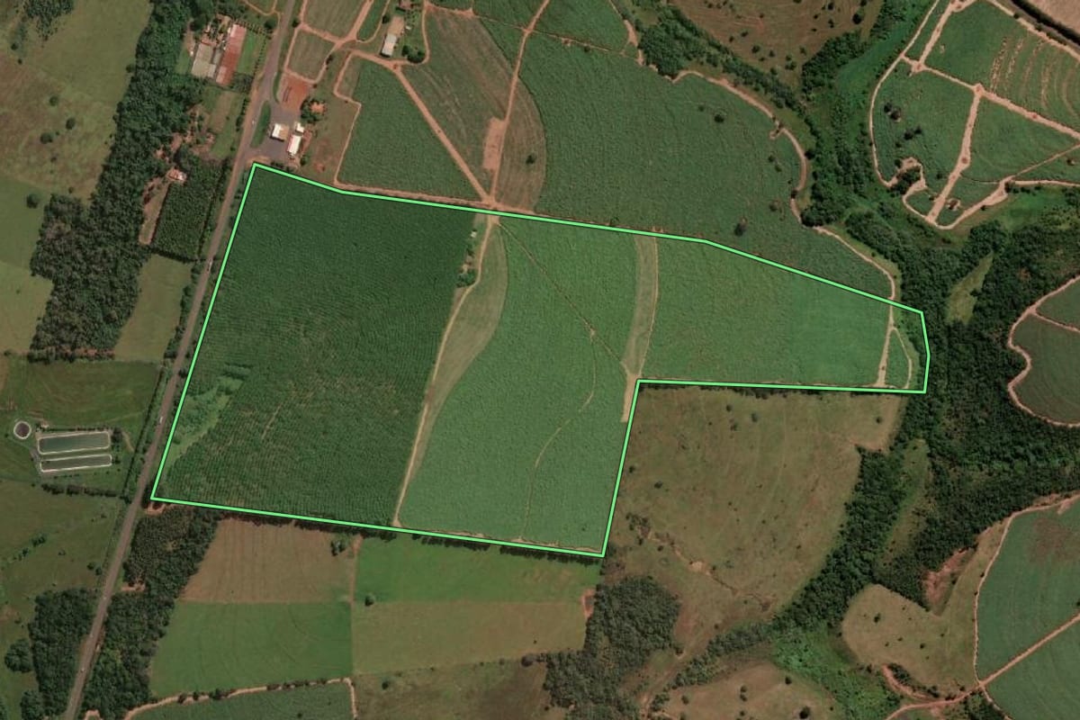 Imagem de satélite do imóvel rural em Pontalinda (SP), com o contorno declarado no CAR desenhado por cima.