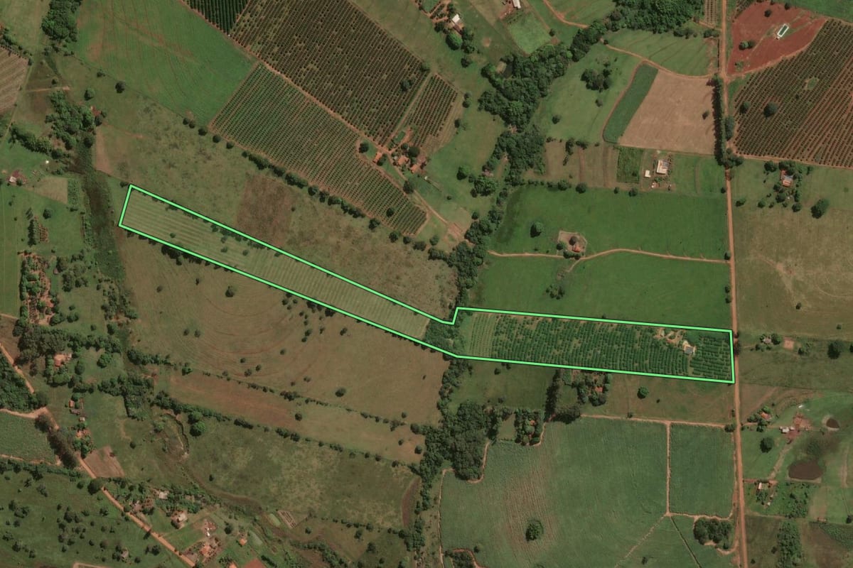 Imagem de satélite do imóvel rural em Pontalinda (SP), com o contorno declarado no CAR desenhado por cima.