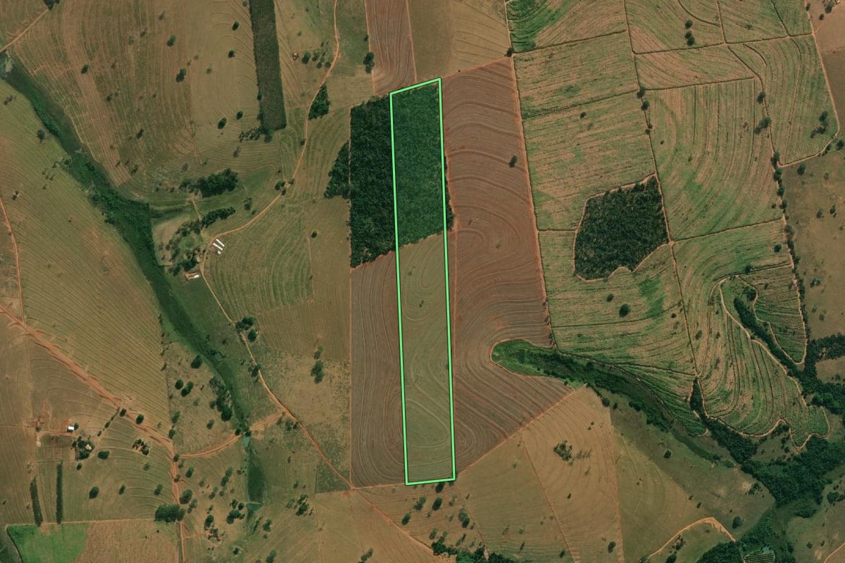 Imagem de satélite do imóvel rural em Pontes Gestal (SP), com o contorno declarado no CAR desenhado por cima.