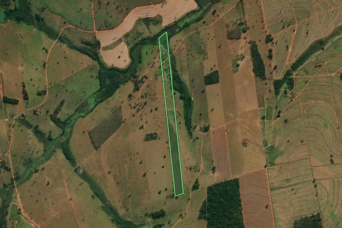 Imagem de satélite do imóvel rural em Pontes Gestal (SP), com o contorno declarado no CAR desenhado por cima.