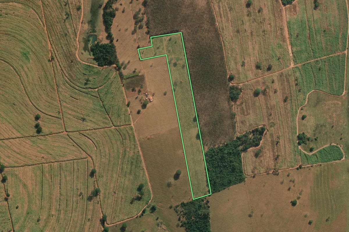 Imagem de satélite do imóvel rural em Pontes Gestal (SP), com o contorno declarado no CAR desenhado por cima.