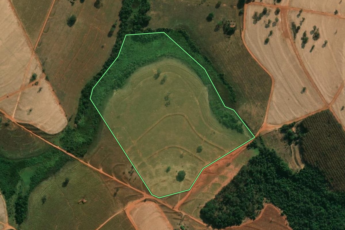 Imagem de satélite do imóvel rural em Pontes Gestal (SP), com o contorno declarado no CAR desenhado por cima.