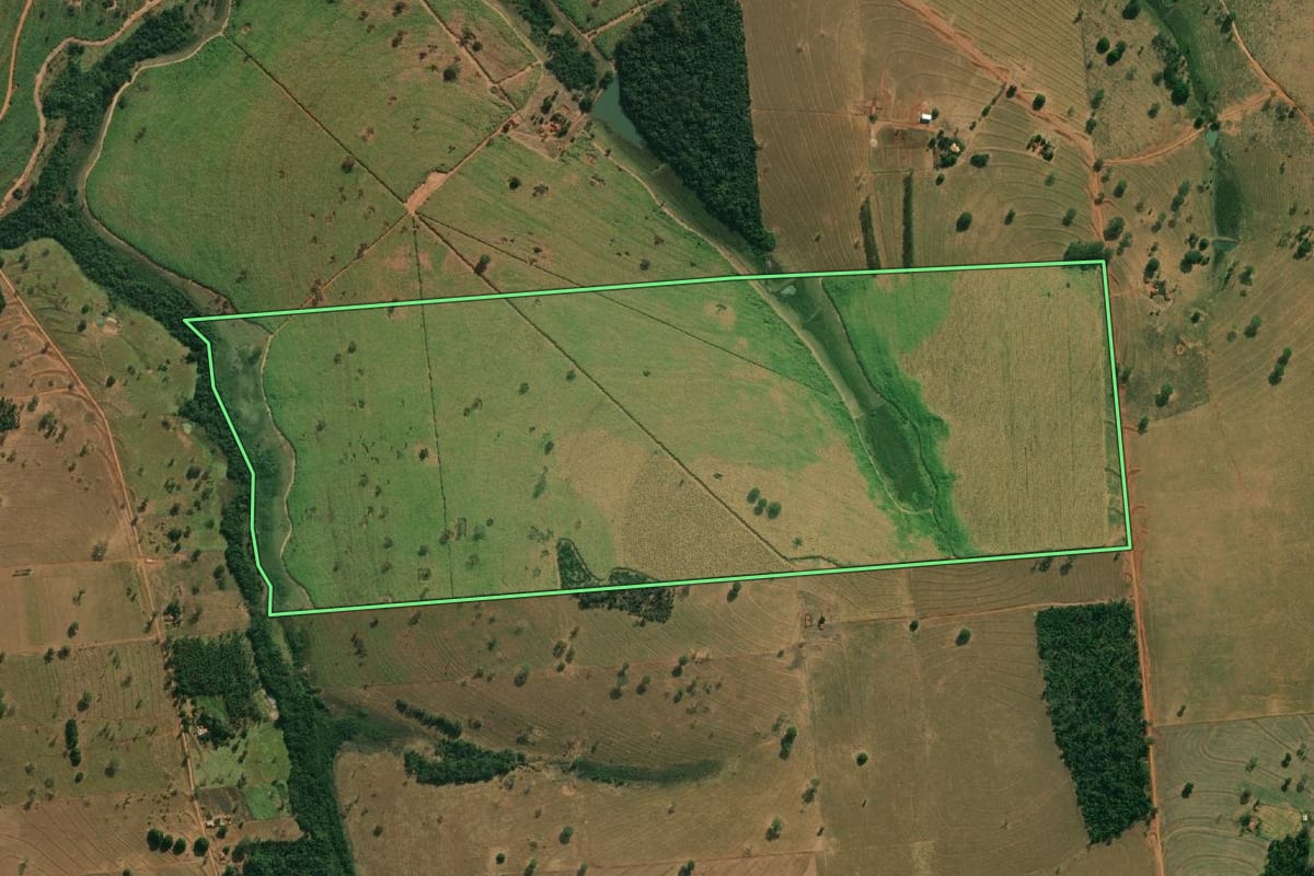 Imagem de satélite do imóvel rural em Pontes Gestal (SP), com o contorno declarado no CAR desenhado por cima.