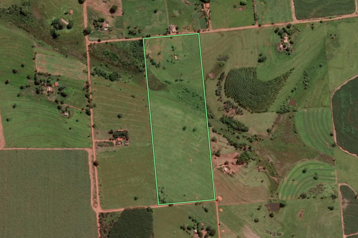 Imagem de satélite do imóvel rural em Populina (SP), com o contorno declarado no CAR desenhado por cima.
