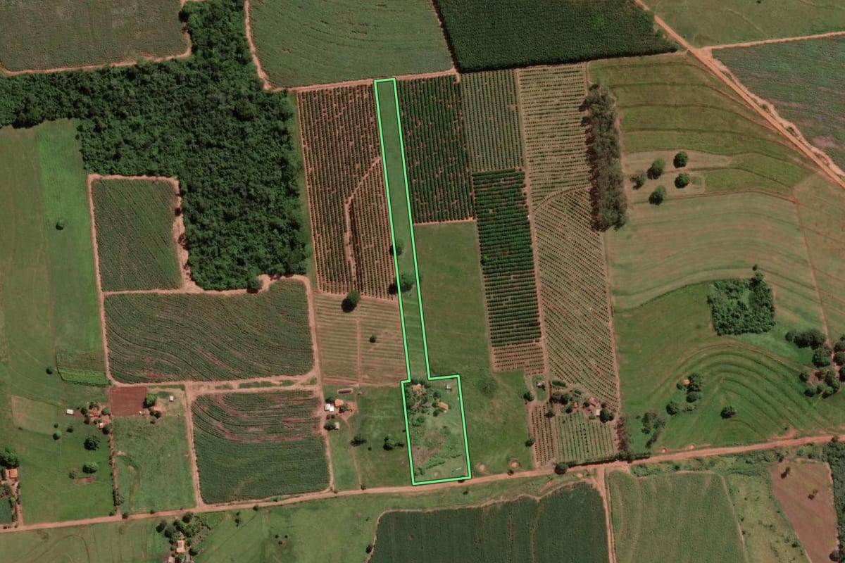 Imagem de satélite do imóvel rural em Populina (SP), com o contorno declarado no CAR desenhado por cima.
