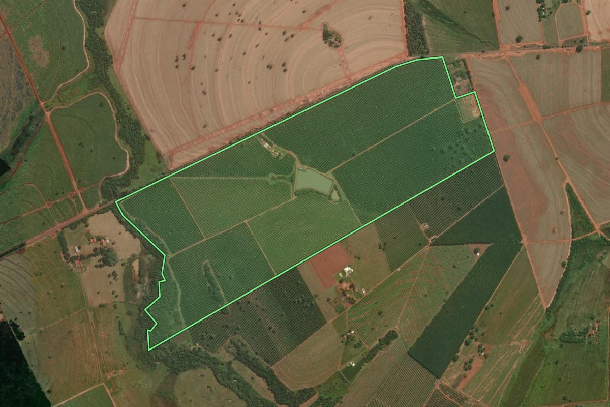 Imagem de satélite do imóvel rural em Populina (SP), com o contorno declarado no CAR desenhado por cima.