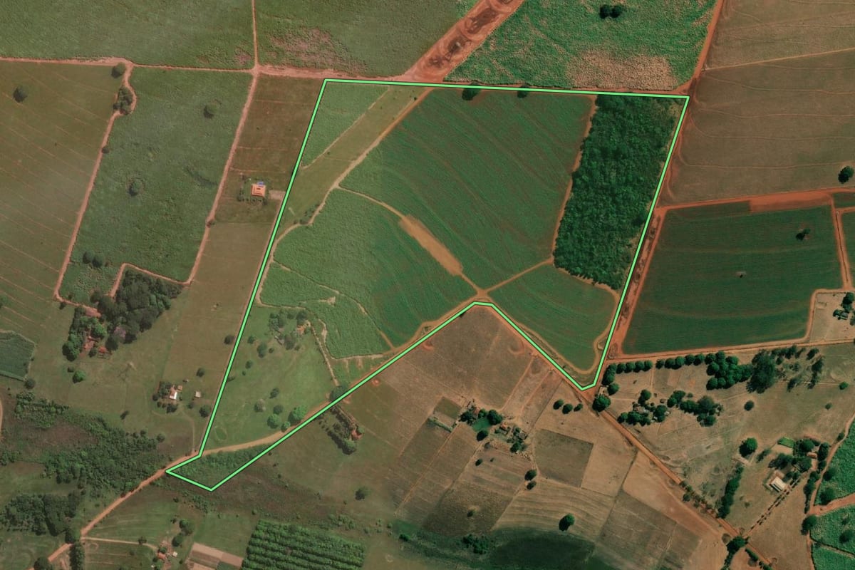 Imagem de satélite do imóvel rural em Populina (SP), com o contorno declarado no CAR desenhado por cima.