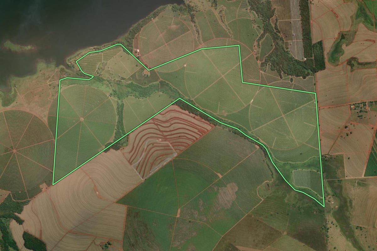 Imagem de satélite do imóvel rural em Populina (SP), com o contorno declarado no CAR desenhado por cima.