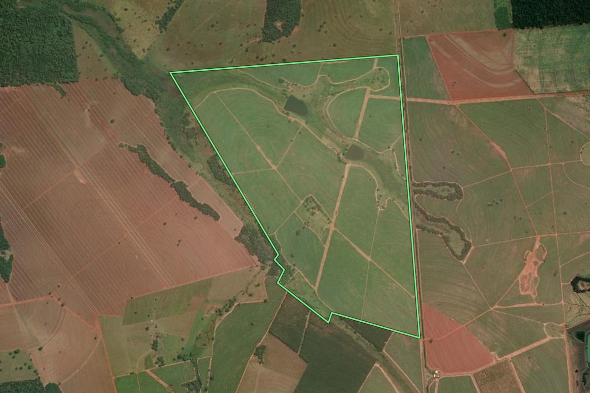Imagem de satélite do imóvel rural em Populina (SP), com o contorno declarado no CAR desenhado por cima.