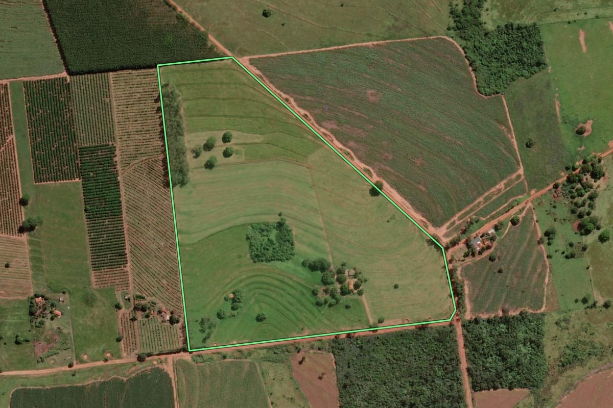 Imagem de satélite do imóvel rural em Populina (SP), com o contorno declarado no CAR desenhado por cima.