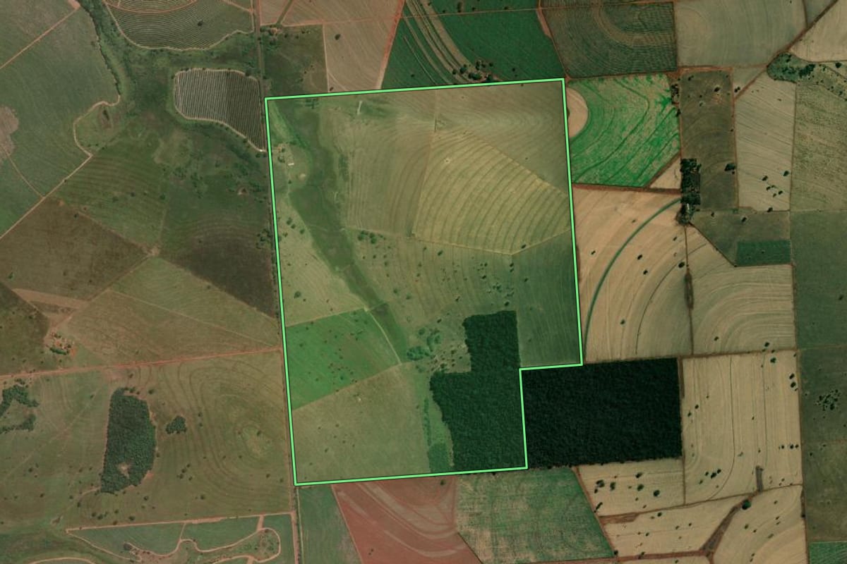 Imagem de satélite do imóvel rural em Populina (SP), com o contorno declarado no CAR desenhado por cima.