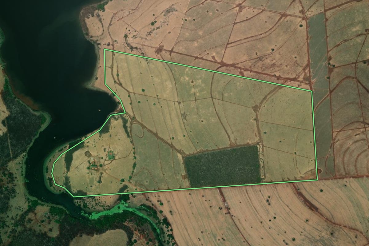 Imagem de satélite do imóvel rural em Populina (SP), com o contorno declarado no CAR desenhado por cima.