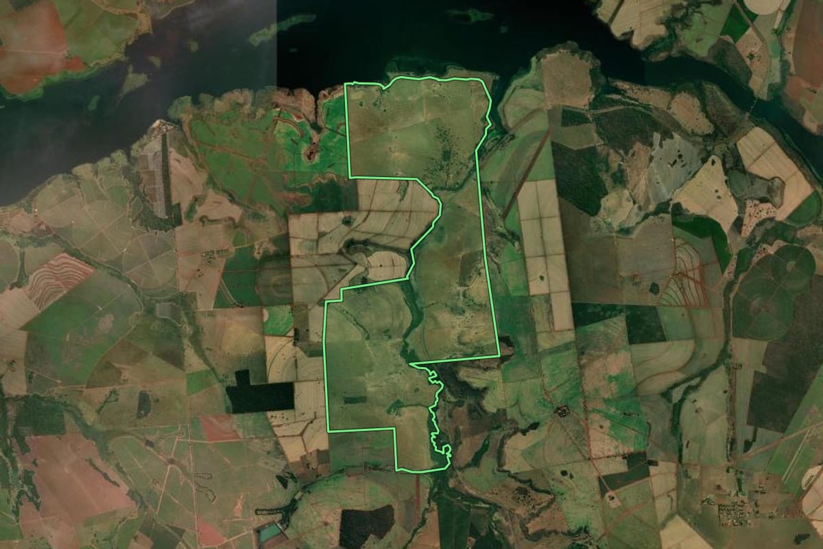 Imagem de satélite do imóvel rural em Populina (SP), com o contorno declarado no CAR desenhado por cima.