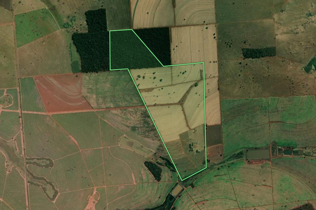Imagem de satélite do imóvel rural em Populina (SP), com o contorno declarado no CAR desenhado por cima.