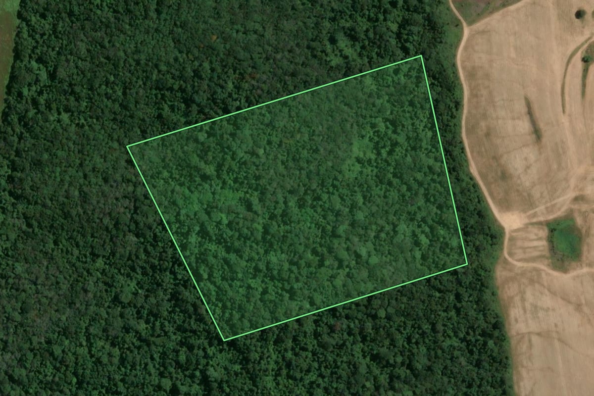 Imagem de satélite do imóvel rural em Porangaba (SP), com o contorno declarado no CAR desenhado por cima.