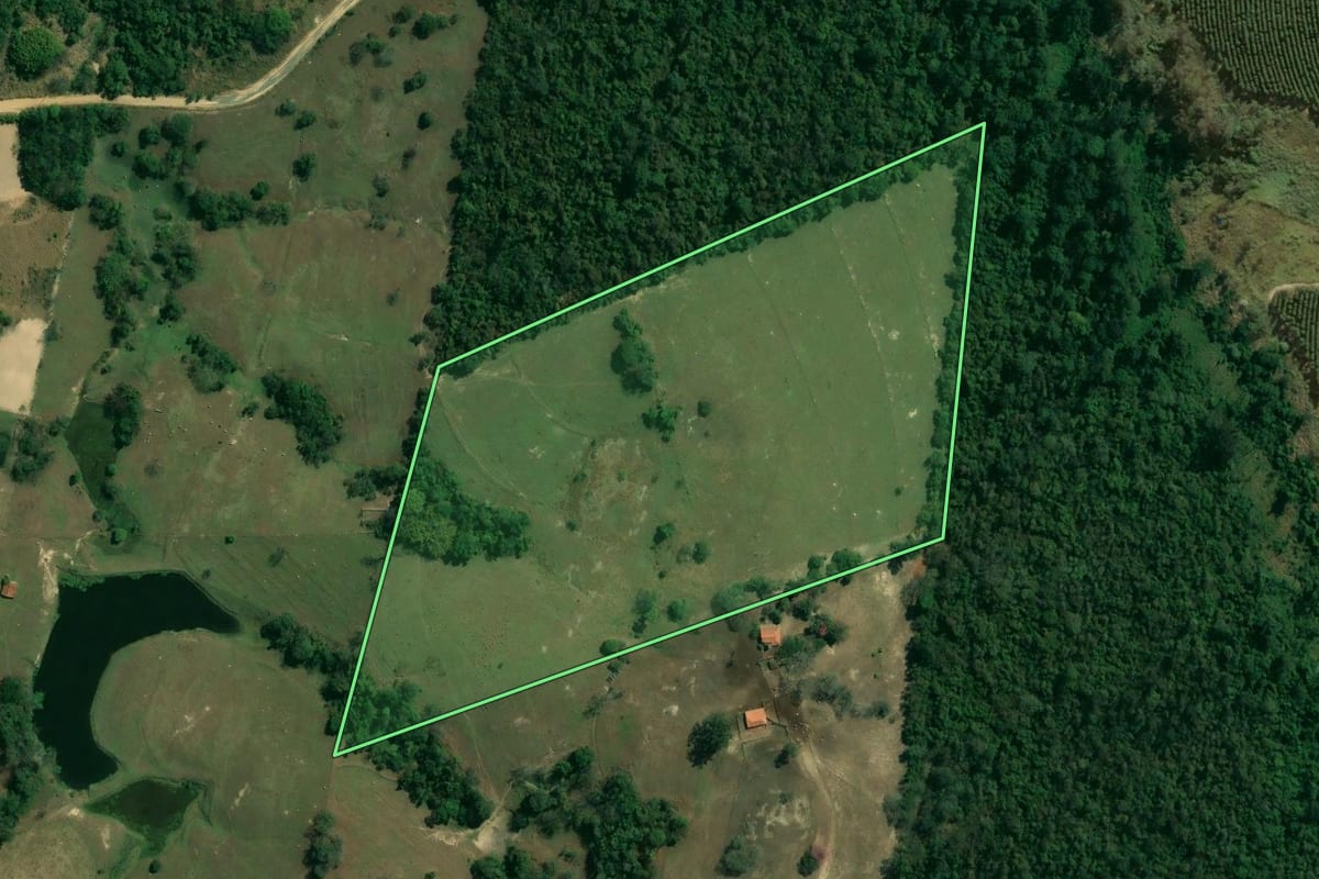 Imagem de satélite do imóvel rural em Porto Feliz (SP), com o contorno declarado no CAR desenhado por cima.