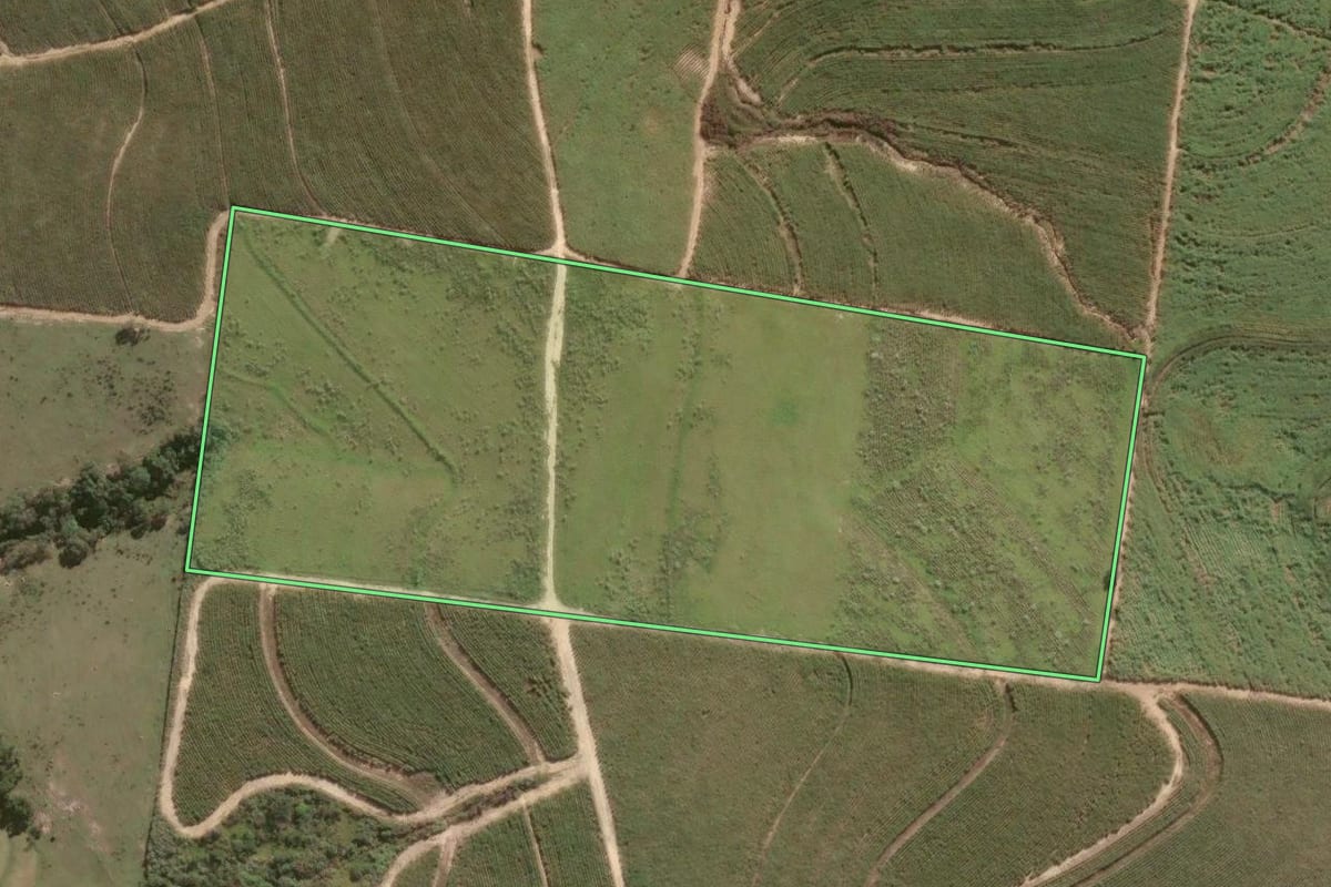 Imagem de satélite do imóvel rural em Porto Feliz (SP), com o contorno declarado no CAR desenhado por cima.