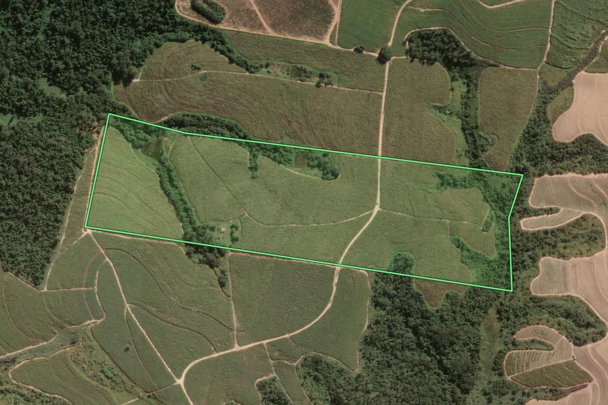 Imagem de satélite do imóvel rural em Porto Feliz (SP), com o contorno declarado no CAR desenhado por cima.