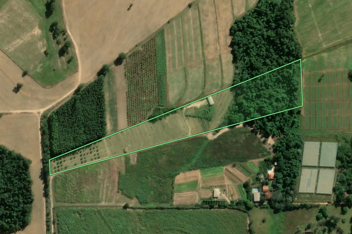 Imagem de satélite do imóvel rural em Porto Feliz (SP), com o contorno declarado no CAR desenhado por cima.