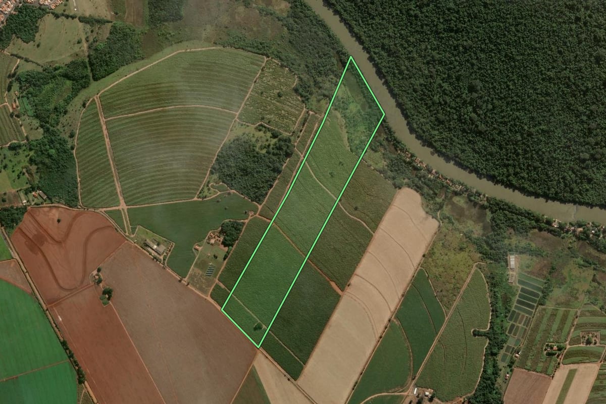 Imagem de satélite do imóvel rural em Porto Ferreira (SP), com o contorno declarado no CAR desenhado por cima.