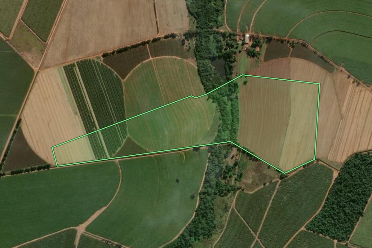 Imagem de satélite do imóvel rural em Porto Ferreira (SP), com o contorno declarado no CAR desenhado por cima.