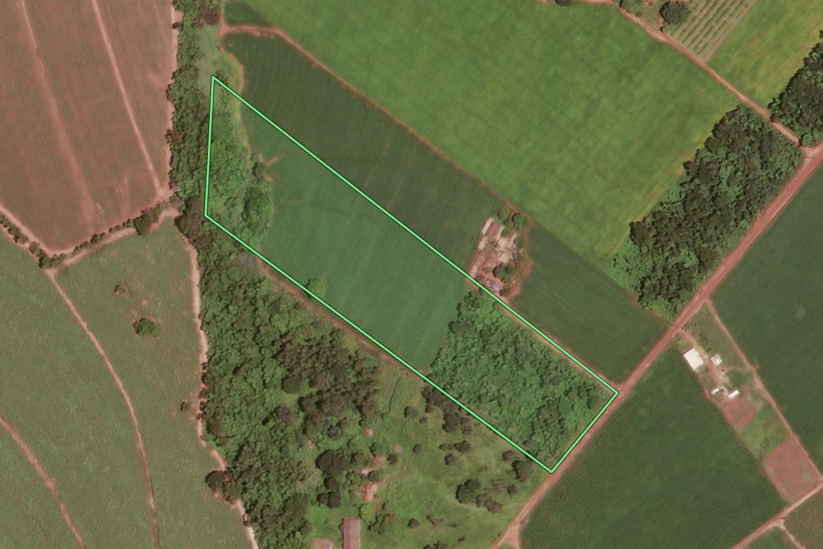 Imagem de satélite do imóvel rural em Porto Ferreira (SP), com o contorno declarado no CAR desenhado por cima.