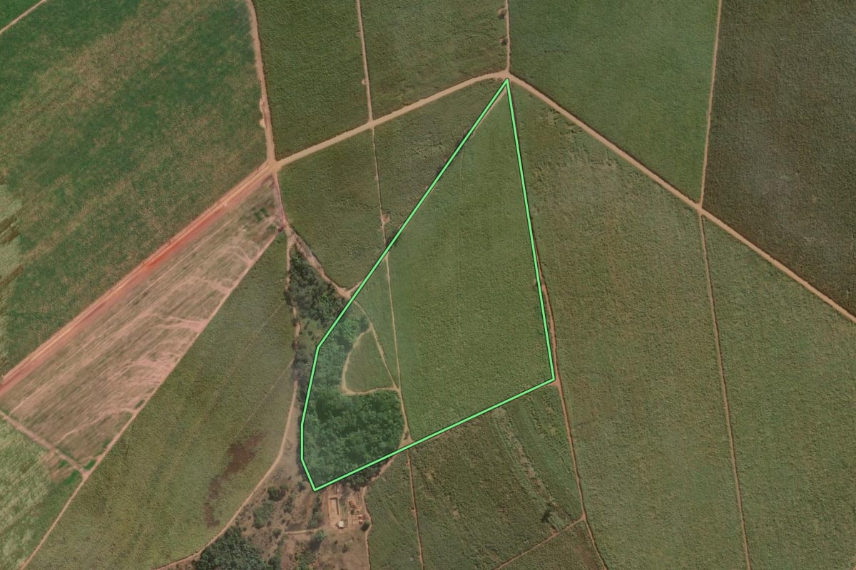 Imagem de satélite do imóvel rural em Porto Ferreira (SP), com o contorno declarado no CAR desenhado por cima.