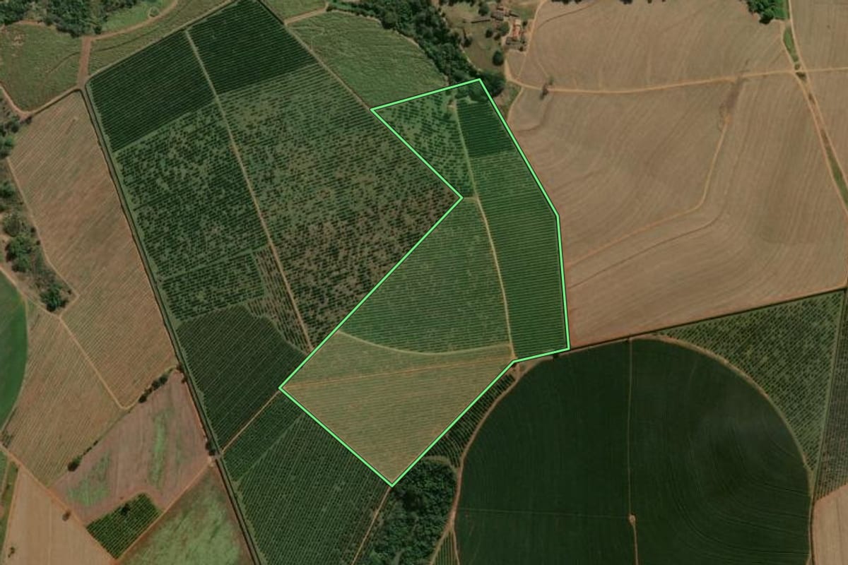Imagem de satélite do imóvel rural em Porto Ferreira (SP), com o contorno declarado no CAR desenhado por cima.