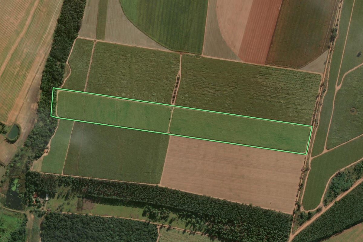 Imagem de satélite do imóvel rural em Porto Ferreira (SP), com o contorno declarado no CAR desenhado por cima.