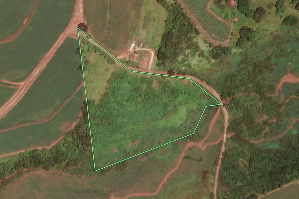 Imagem de satélite do imóvel rural em Porto Ferreira (SP), com o contorno declarado no CAR desenhado por cima.