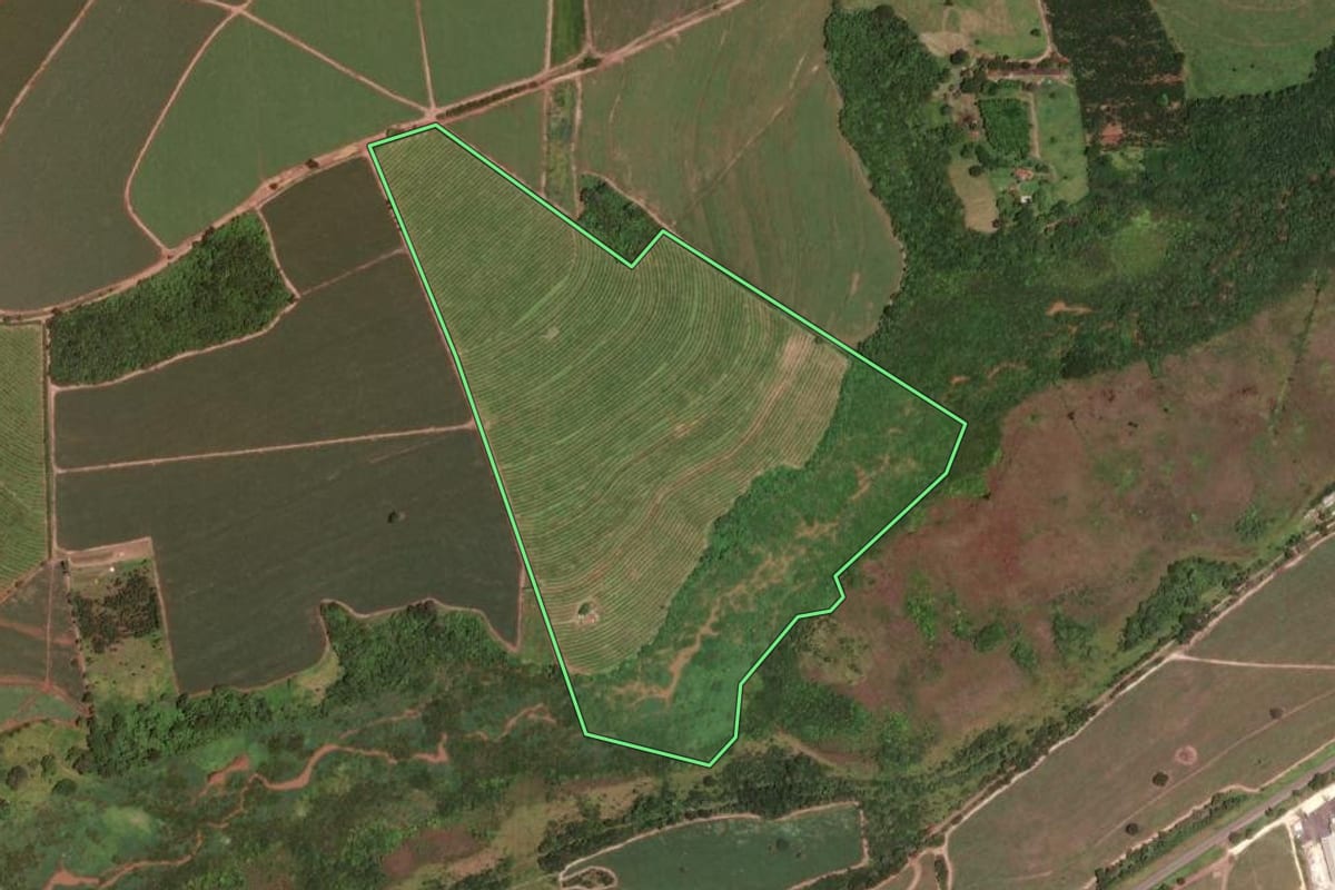 Imagem de satélite do imóvel rural em Porto Ferreira (SP), com o contorno declarado no CAR desenhado por cima.