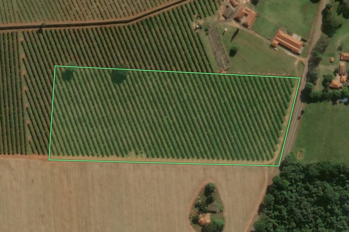 Imagem de satélite do imóvel rural em Porto Ferreira (SP), com o contorno declarado no CAR desenhado por cima.