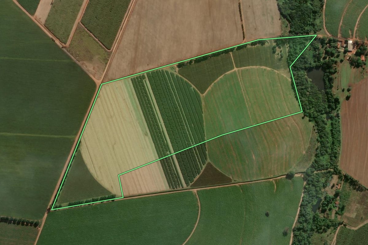 Imagem de satélite do imóvel rural em Porto Ferreira (SP), com o contorno declarado no CAR desenhado por cima.