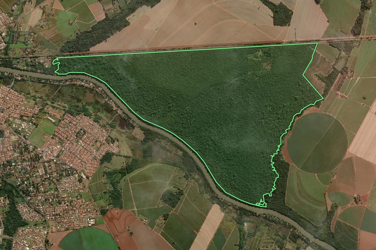 Imagem de satélite do imóvel rural em Porto Ferreira (SP), com o contorno declarado no CAR desenhado por cima.