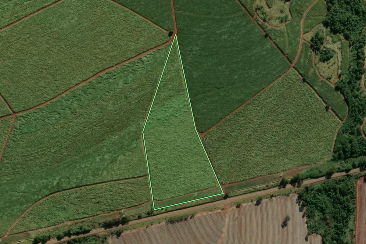 Imagem de satélite do imóvel rural em Porto Ferreira (SP), com o contorno declarado no CAR desenhado por cima.